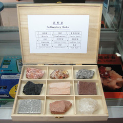 9种沉积岩标本 矿物岩石标本盒装 高档木盒装 地理地质教学标本