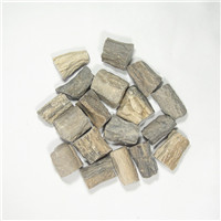 天然钙化木化石 矿物岩石标本 教学标本 钙化木原料