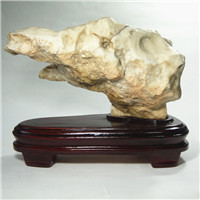 天然戈壁石摆件 观赏石 摆件 造型石 象形石 像狼头形状